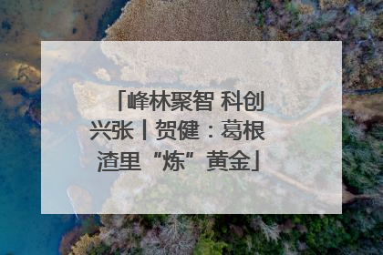峰林聚智 科创兴张丨贺健：葛根渣里“炼”黄金