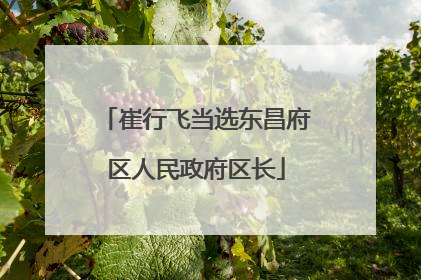 崔行飞当选东昌府区人民政府区长