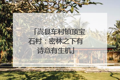 嵩县车村镇顶宝石村：密林之下有诗意有生机