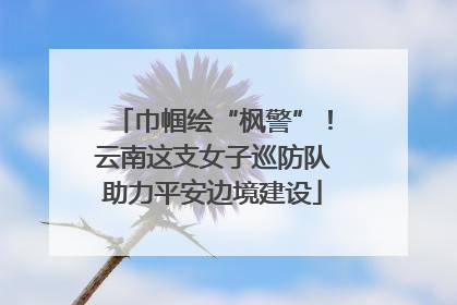 巾帼绘“枫警”！云南这支女子巡防队助力平安边境建设