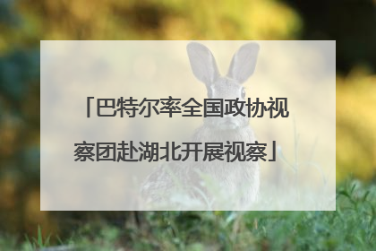 巴特尔率全国政协视察团赴湖北开展视察