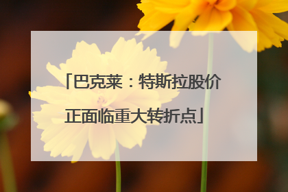 巴克莱：特斯拉股价正面临重大转折点