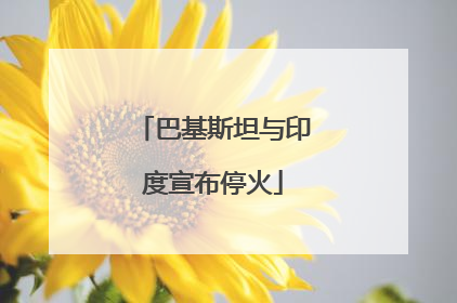 巴基斯坦与印度宣布停火