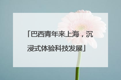 巴西青年来上海，沉浸式体验科技发展