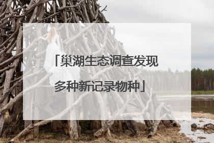 巢湖生态调查发现多种新记录物种