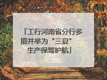 工行河南省分行多措并举为“三夏” 生产保驾护航
