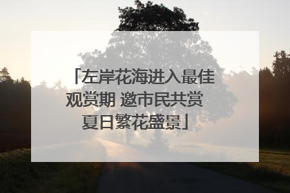 左岸花海进入最佳观赏期 邀市民共赏夏日繁花盛景