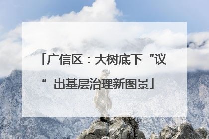 广信区：大树底下“议”出基层治理新图景