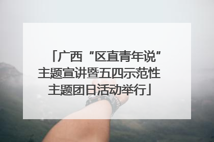 广西“区直青年说”主题宣讲暨五四示范性主题团日活动举行
