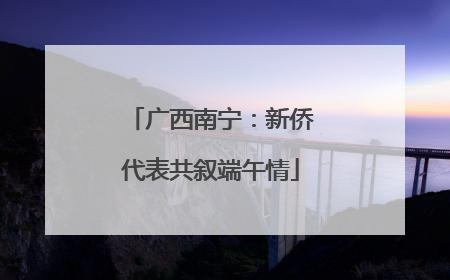 广西南宁：新侨代表共叙端午情