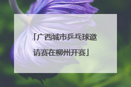 广西城市乒乓球邀请赛在柳州开赛