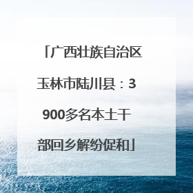 广西壮族自治区玉林市陆川县：3900多名本土干部回乡解纷促和