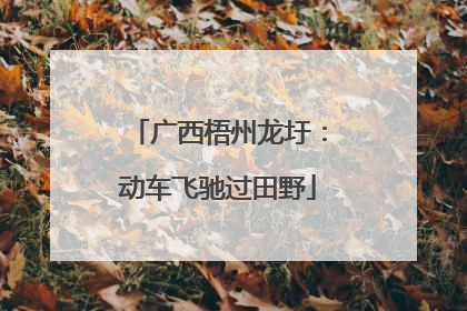 广西梧州龙圩：动车飞驰过田野