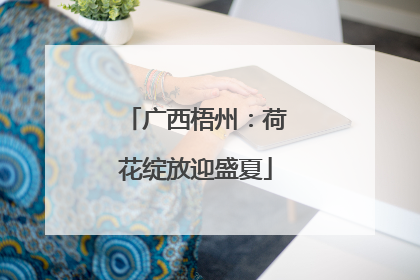 广西梧州：荷花绽放迎盛夏