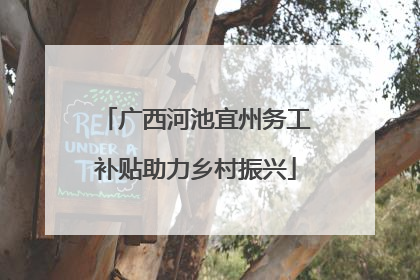 广西河池宜州务工补贴助力乡村振兴
