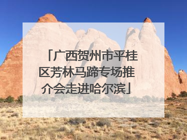 广西贺州市平桂区芳林马蹄专场推介会走进哈尔滨