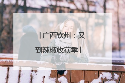 广西钦州：又到辣椒收获季
