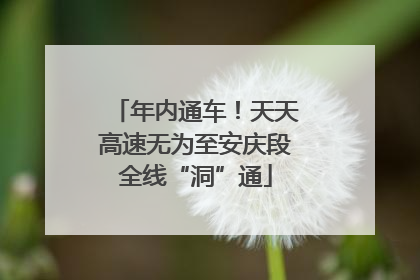年内通车！天天高速无为至安庆段全线“洞”通