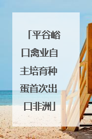 平谷峪口禽业自主培育种蛋首次出口非洲