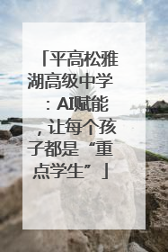 平高松雅湖高级中学：AI赋能，让每个孩子都是“重点学生”