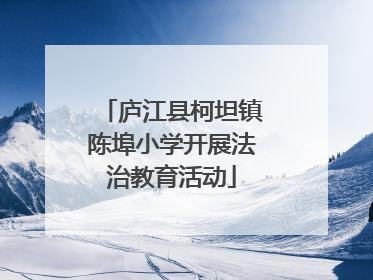 庐江县柯坦镇陈埠小学开展法治教育活动