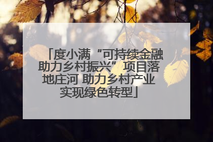 度小满“可持续金融助力乡村振兴”项目落地庄河 助力乡村产业实现绿色转型