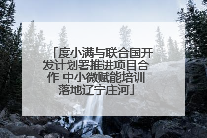 度小满与联合国开发计划署推进项目合作 中小微赋能培训落地辽宁庄河