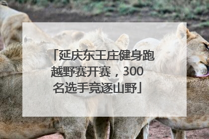 延庆东王庄健身跑越野赛开赛，300名选手竞逐山野