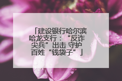 建设银行哈尔滨哈龙支行：“反诈尖兵”出击 守护百姓“钱袋子”