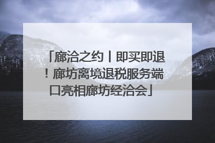 廊洽之约丨即买即退！廊坊离境退税服务端口亮相廊坊经洽会