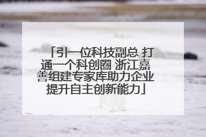 引一位科技副总 打通一个科创圈 浙江嘉善组建专家库助力企业提升自主创新能力