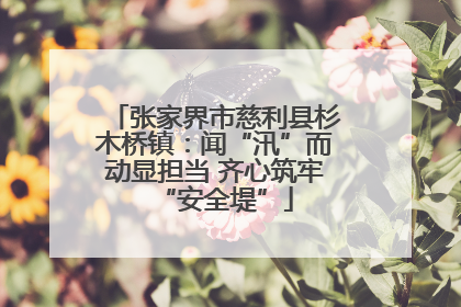 张家界市慈利县杉木桥镇：闻“汛”而动显担当 齐心筑牢“安全堤”