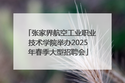 张家界航空工业职业技术学院举办2025年春季大型招聘会
