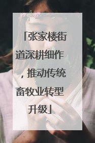 张家楼街道深耕细作，推动传统畜牧业转型升级