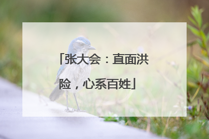 张大会：直面洪险，心系百姓