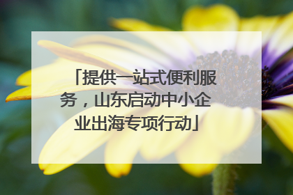 提供一站式便利服务，山东启动中小企业出海专项行动