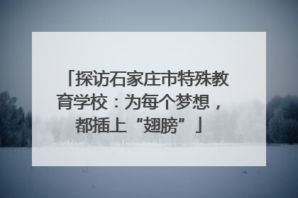 探访石家庄市特殊教育学校：为每个梦想，都插上“翅膀”