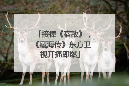 接棒《宿敌》，《藏海传》东方卫视开播即燃