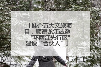 推介五大文旅项目，顺德龙江诚邀“环两江先行区”建设“合伙人”