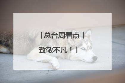总台周看点丨致敬不凡！
