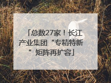 总数27家！长江产业集团“专精特新”矩阵再扩容