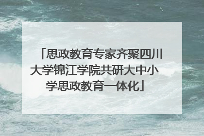 思政教育专家齐聚四川大学锦江学院共研大中小学思政教育一体化