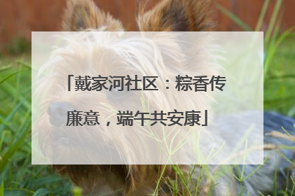 戴家河社区：粽香传廉意，端午共安康
