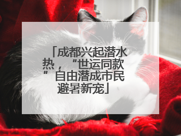 成都兴起潜水热，“世运同款”自由潜成市民避暑新宠