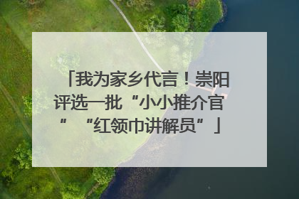 我为家乡代言！崇阳评选一批“小小推介官”“红领巾讲解员”