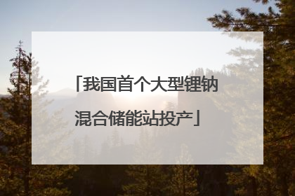 我国首个大型锂钠混合储能站投产