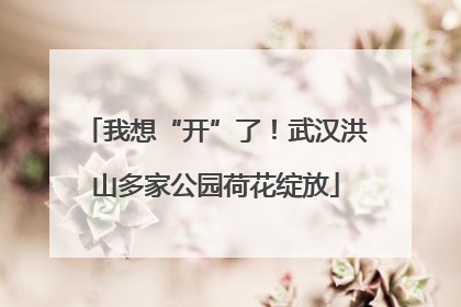 我想“开”了！武汉洪山多家公园荷花绽放