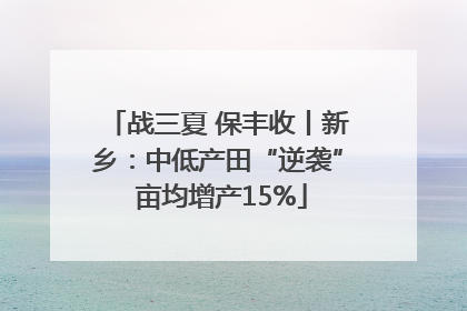 战三夏 保丰收丨新乡：中低产田“逆袭” 亩均增产15%