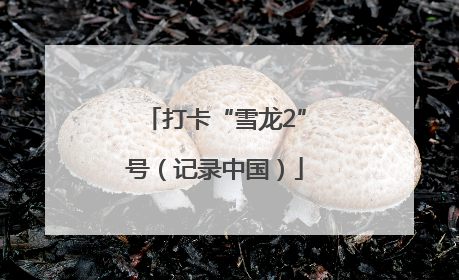 打卡“雪龙2”号（记录中国）