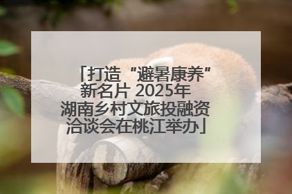 打造“避暑康养”新名片 2025年湖南乡村文旅投融资洽谈会在桃江举办